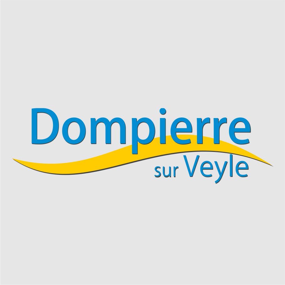 logo-dsv